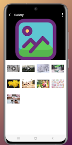 Gallery Lock - NVault  APK + Mod (Free purchase) for Android