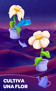 Imagen de la captura de pantalla
