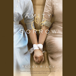 Icon image Amity & Sorrow: A Novel