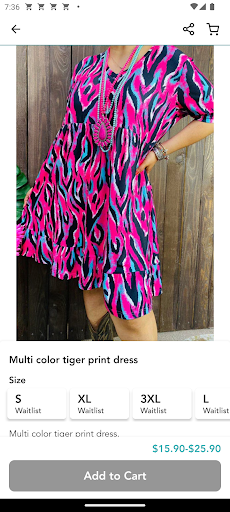 Charming Cheetah Boutique Screen 2