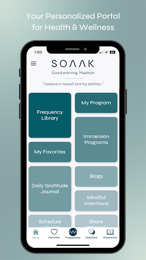 Screenshot of Soaak