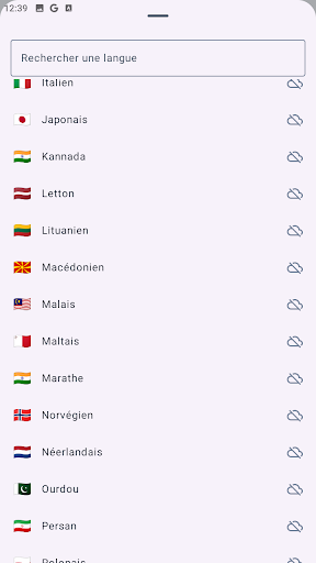 Talk Translate: Voice & Text screenshot 2