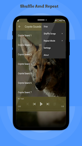 Coyote Sounds Screen 3