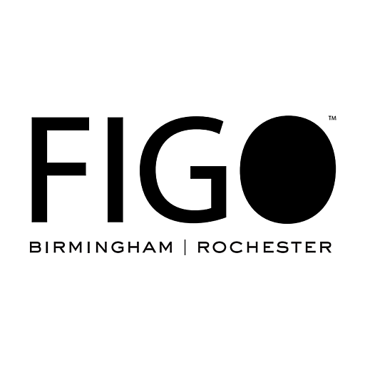 Figo Salon Detroit logo
