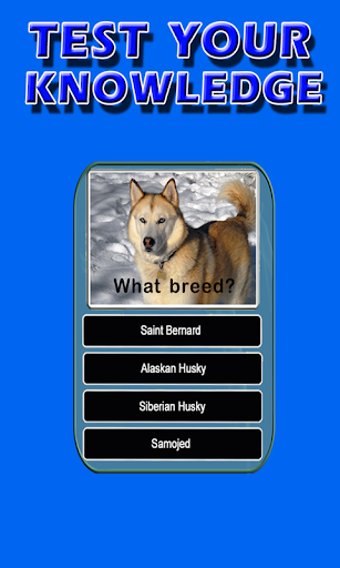 Dog Breeds Trivia Animal Quiz Screen 2