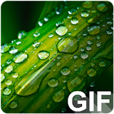Water Drop Live(GIF) Wallpaper icon