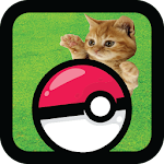 Cover Image of Download Pocket Kitten Cats GO 3 APK