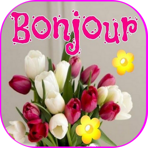 Bonjour Bonsoir Bonne Nuit 3.8 Icon