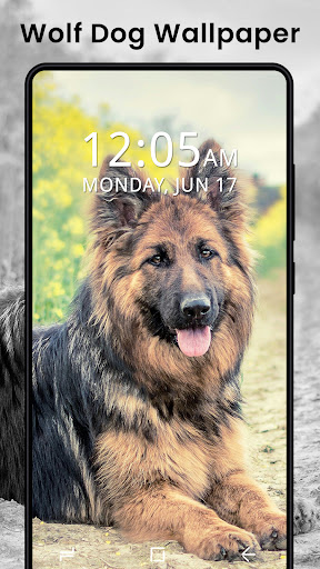 Puppy Dog and Cat Wallpapers 4K