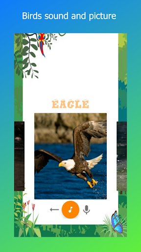 Android application Animals Sound screenshort