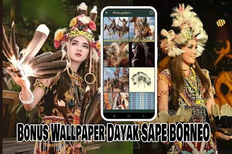 Musik Sape Dayak Borneo Offlin