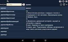 screenshot of Russian Explan. Dictionary