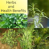Herbs and Health Benefits icon
