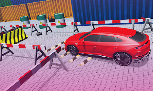 Multiplayer Car Parking sim
