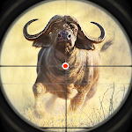 Cover Image of डाउनलोड जानवरों के शिकार का खेल गन गेम  APK