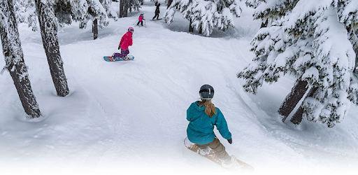 Mt. Washington Alpine Resort