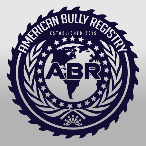 ABR Mobile Logo