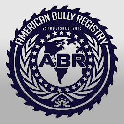 ABR Mobile: Download & Review