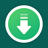 Video Downloader & Story Saver