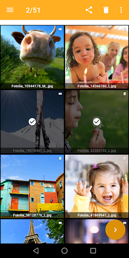 XnConvert - Photo Resize Screen 2