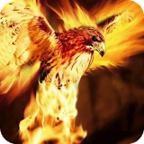 Fiery eagle live wallpaper icon
