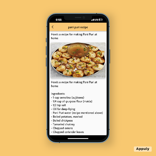 Pani puri Screen 2