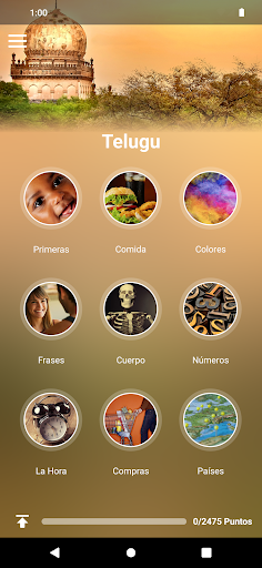 Vista previa de la aplicación