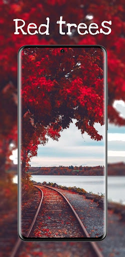 Backgrounds autumn Screen 3