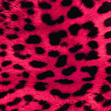 leopard print wallpapers icon