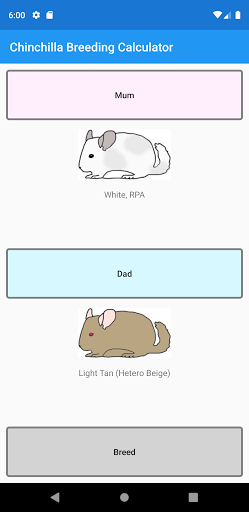 Chinchilla Breeding Calculator