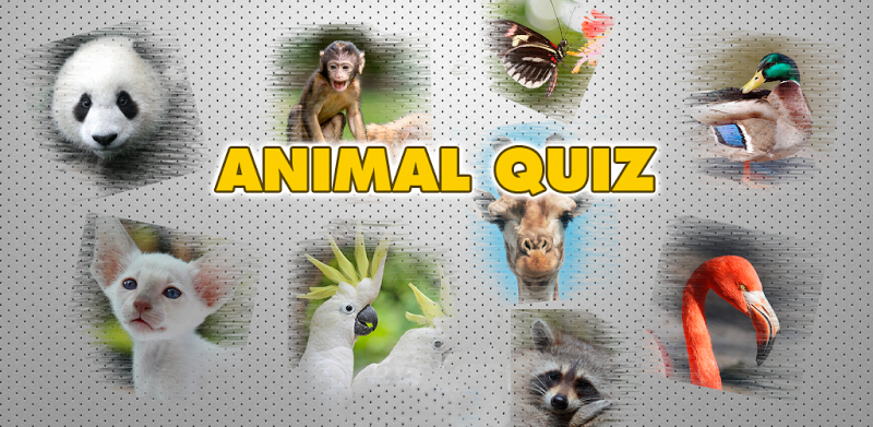 Devinez animaux - Quiz animale