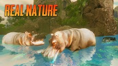 The Hippo - Animal Simulatorのおすすめ画像1
