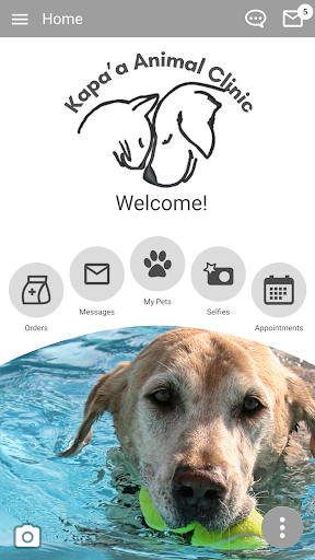 Kapaa Animal Clinic screenshot 2