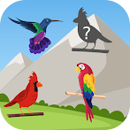 Cute Bird Puzzles 2021 Offline