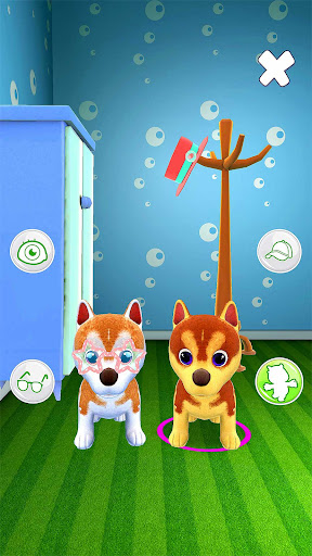 Talking Husky Dog 8