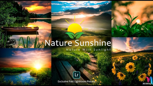 DNG Preset for lr mobile Screen 3
