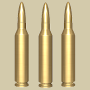 Assault Rifle Shooting