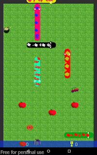 Worm