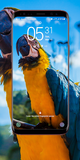 Android application Parrot Wallpaper screenshort