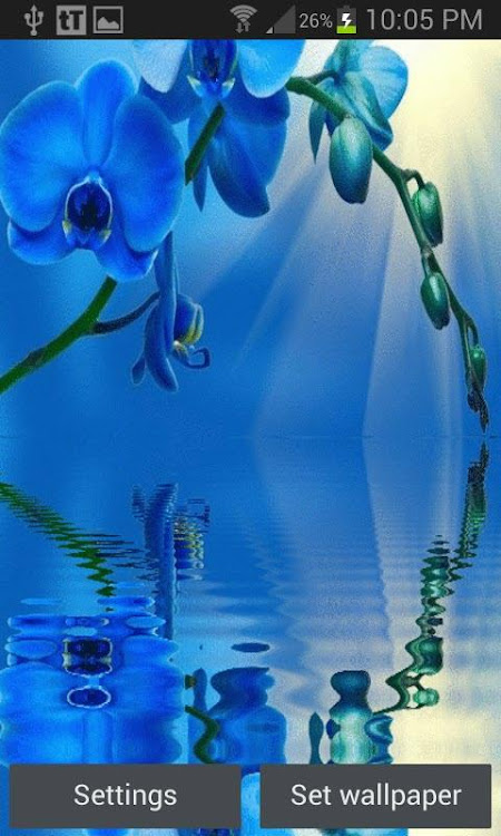 Blue Orchid Live Wallpaper - 3 - (Android)