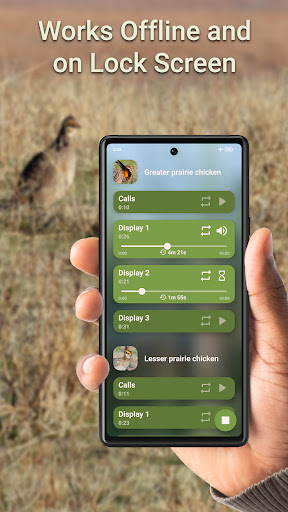 Prairie Chicken Hunting Calls Screen 3