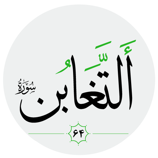 سورة التغابن logo