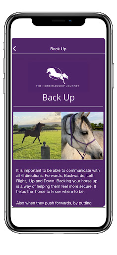 The Horsemanship Journey Screen 3