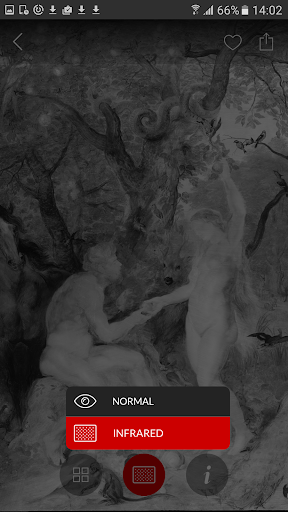 Second Canvas Mauritshuis