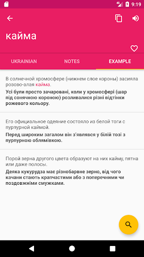 Russian Ukrainian Dictionary Screen 3