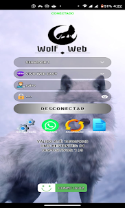 WOLF WEB DK