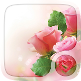 Pink rose Love Wallpapers icon