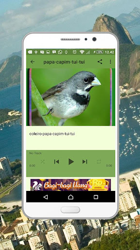 Fêmea de Papa Capim Chamando APK for Android Download