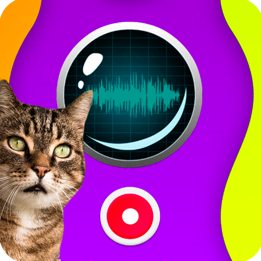 Verdadeiro gato falando – Apps no Google Play