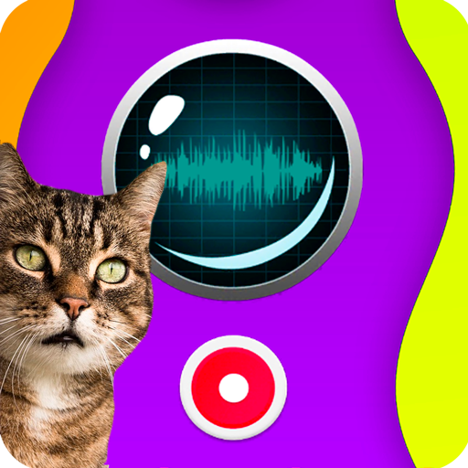 Cat translator